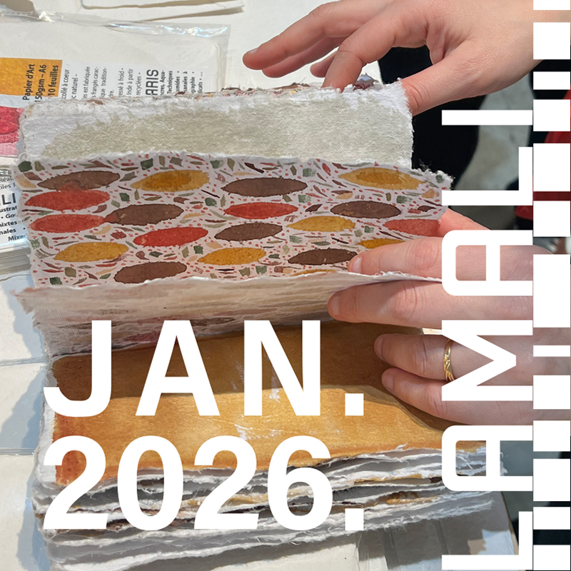 Nouveautés Janvier 2026