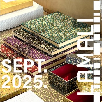 Nouveautés Janvier 2025